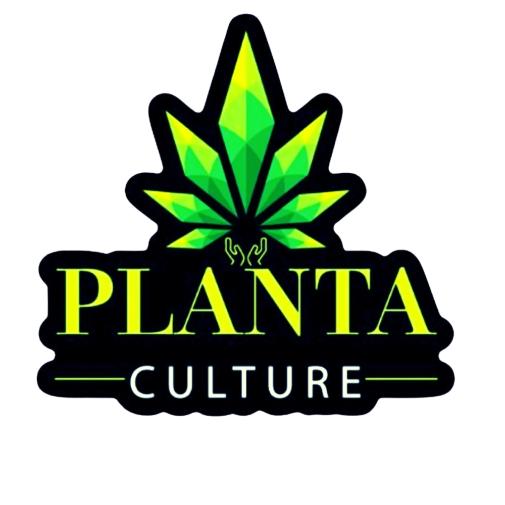 PLANTA CULTURE CUT OUT STICKER